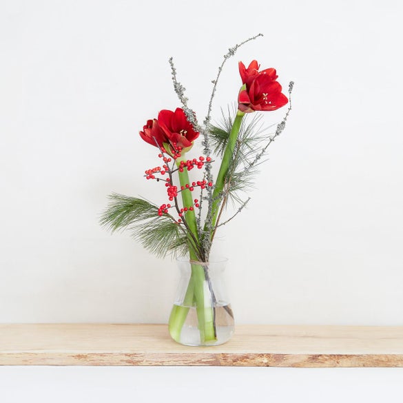 Den elegante amaryllis buket